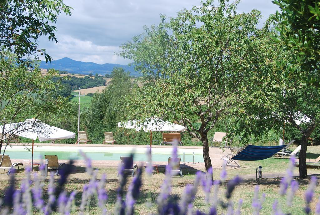 Agriturismo Le Torri Di Porsenna Petrignano Del Lago Dış mekan fotoğraf